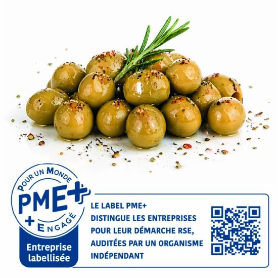 New Logo PMEplus pour site